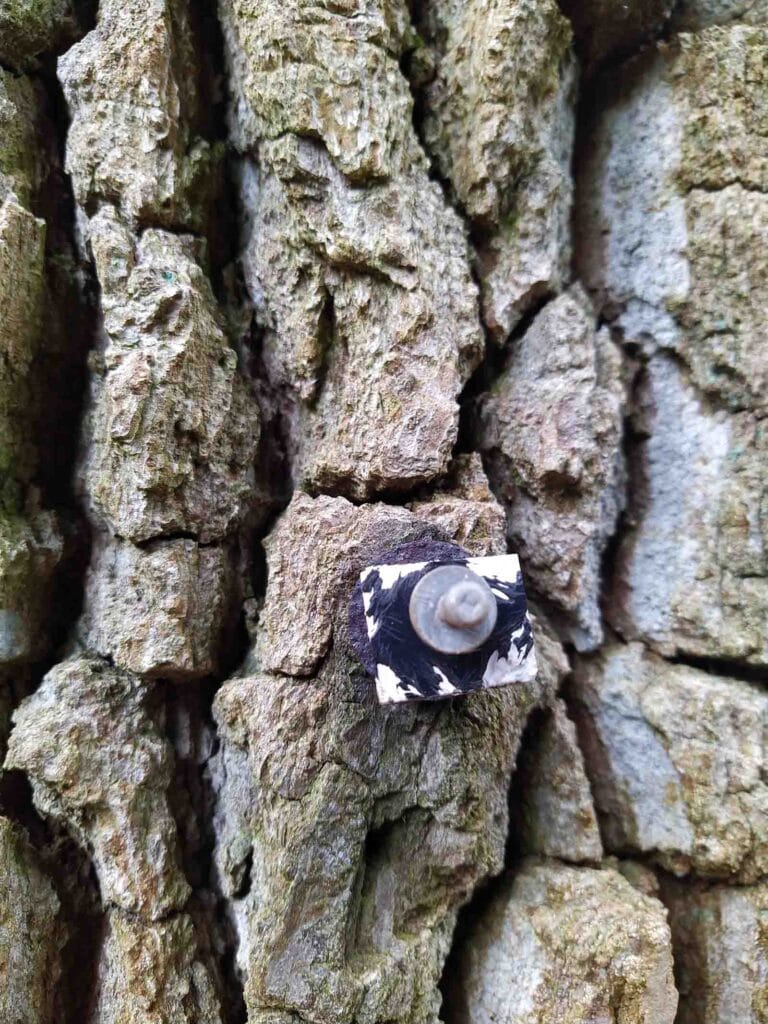 Destroyed label